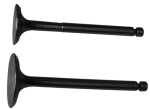 Intake and exhaust valves